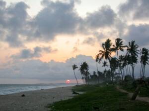 Sunset over a palm-lined beach on the Ghana coast